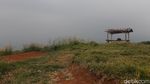 Foto: Alam Indah Bogor dari Atas Bukit Alesano