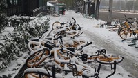 Kondisi itu pun membuat kota Beijing tampak memutih karena diselimuti salju.