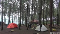 Begitu memasuki kawasan hutan pinus seluas 25 hektar ini, hawa sejuk pegunungan bisa langsung dirasakan pengunjung. Setiap akhir pekan, lokasi ini banyak didatangi wisatawan. Mereka umumnya menginap sambil kemping di area tersebut. (Imam Suripto/detikTravel)