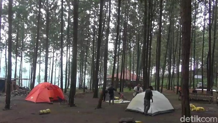 Kemping Asyik di Guci Forest Kemping Asyik di Guci Forest