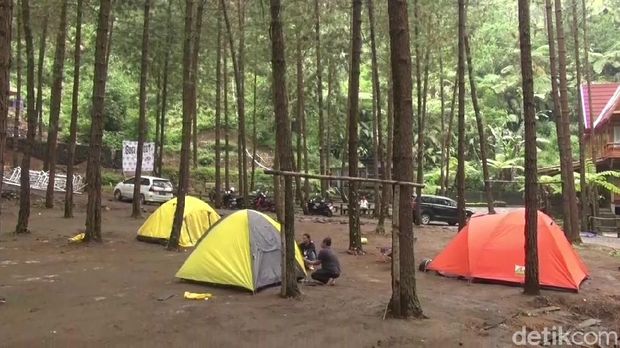 Kemping Asyik di Guci Forest