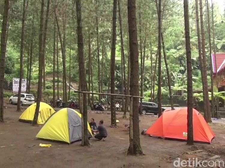 Foto: Tempat Kemping Berhawa Sejuk di Kaki Gunung Slamet