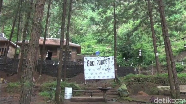 Inilah Guci Forest, tempat kemping yang berada di ketinggian 1200 meter di atas permukaan laut. Tepatnya di kaki Gunung Slamet, Desa Rembul, Kecamatan Bojong, Kabupaten Tegal. (Imam Suripto/detikTravel)