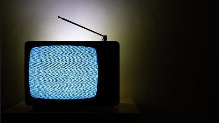 Gambar semut di TV