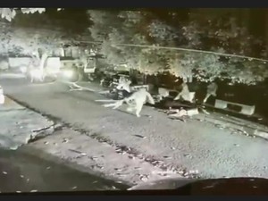 Lima Driver Ojol Diserang Sekelompok Orang di Bandung