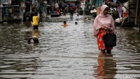 Merujuk laporan BPBD DKi di Jakarta Utara,  terdapat 13 RT yang terendam banjir rob masing-masing di Kelurahan Penjaringan dengan 2 RT dan Kelurahan Pluit dengan 11 RT. 