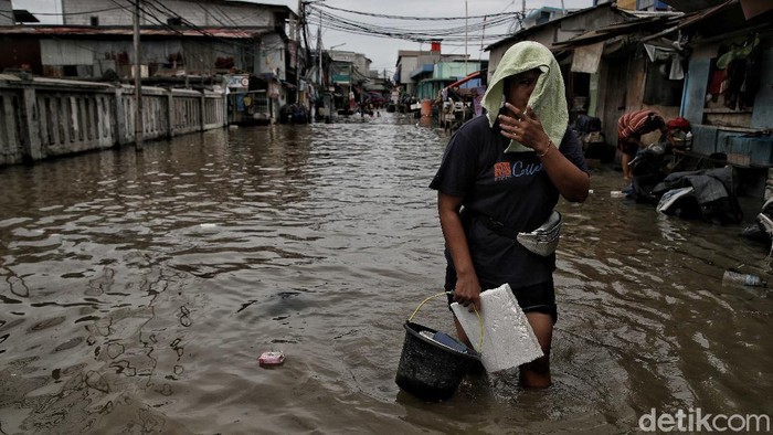 Menurut data dari BPBD DKI Jakarta, sebanyak 13 RT di Kecamatan Penjaringan Jakarta Utara terkena dampak rob atau banjir pesisir.