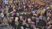 Festival kotoran sapi ini dipercaya memiliki manfaat kesehatan untuk warga.  