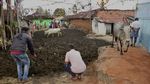 Ada-ada Saja, Aksi Saling Lempar Kotoran Sapi India