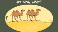 Kira-kira apa yang salah dengan gambar hewan unta di padang pasir ini?