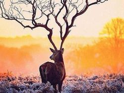 Foto Ini Bikin Mata Tertipu Gegara Sudut Pengambilan Gambarnya