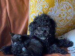 Foto Ini Bikin Mata Tertipu Gegara Sudut Pengambilan Gambarnya