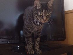 Foto Ini Bikin Mata Tertipu Gegara Sudut Pengambilan Gambarnya