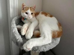 Foto Ini Bikin Mata Tertipu Gegara Sudut Pengambilan Gambarnya