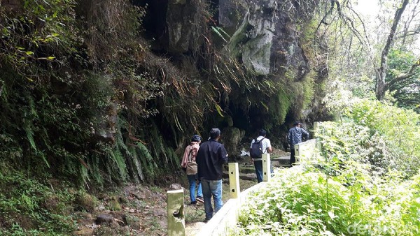 Lokasi gua dekat dengan jalur wisata Solo-Selo-Borobudur (SSB) atau jalan Boyolali-Magelang. Dari lokasi parkir ke Gua Raja, harus berjalan kaki naik ke bukit dengan menyusuri anak tangga dari semen. Cukup mudah dan tidak terlalu tinggi. Lokasi gua dekat dengan jalur wisata Solo-Selo-Borobudur (SSB) atau jalan Boyolali-Magelang. Dari lokasi parkir ke Gua Raja, harus berjalan kaki naik ke bukit dengan menyusuri anak tangga dari semen. Cukup mudah dan tidak terlalu tinggi.Â