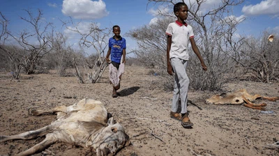 Kekeringan di Kenya Lebih Ngeri dari Pandemi COVID-19