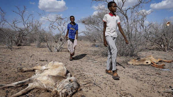 Kekeringan di Kenya Lebih Ngeri dari Pandemi COVID-19