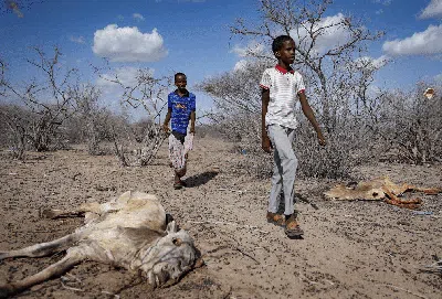 Kekeringan di Kenya Lebih Ngeri dari Pandemi COVID-19