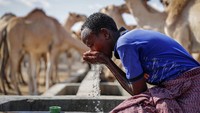 Diketahui Pemerintah Kenya telah mengumumkan bencana nasional di 10 dari 47 kabupatennya. PBB mengatakan lebih dari 2 juta orang sangat kekurangan makanan.  