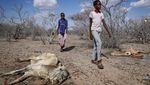 Kekeringan di Kenya Lebih Ngeri dari Pandemi COVID-19