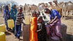 Kekeringan di Kenya Lebih Ngeri dari Pandemi COVID-19