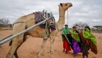 Kekeringan di Kenya Lebih Ngeri dari Pandemi COVID-19