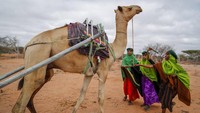 Ternak adalah tulang punggung perekonomian Kenya dan banyak warga yang sangat bergantung padanya.  