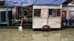 Kerja Keras Penjemput Rezeki di Tengah Hantaman Banjir Rob