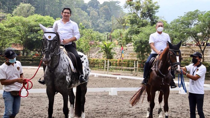 Ketum PAN Zulkifli Hasan didampingi Ketua Bapillu DPP PAN Pasha mengunjungi Kendal, Minggu (7/11). Keduanya sempat naik kuda besama sambil menikmati keindahan alam Desa Wisata Leban.