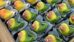 Mirip Boneka, Mochi Berbentuk Burung Ini Hasil Karya Seniman Jepang