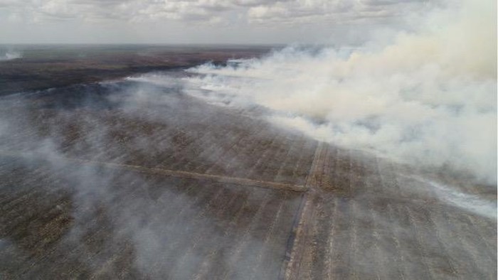 Penampakan Hutan 2.600 Ha yang Terbakar