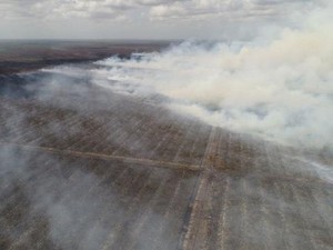 Walhi Kecewa MA Vonis Bebas Perusahaan Sawit di Kasus Karhutla 2.600 Ha
