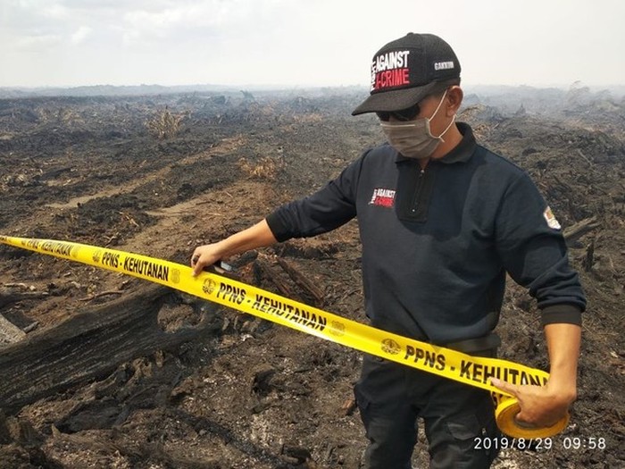 Penampakan Hutan 2.600 Ha yang Terbakar Penampakan Hutan 2.600 Ha yang Terbakar