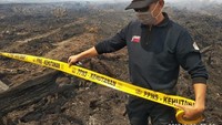 Petugas KLHK membawa kasus ini ke ranah pidana dan perdata. Di kasus pidana, PT KS lolos dari tuntutan Rp 395 miliar dan sudah berkekuatan hukum tetap. Adapun di kasus perdata, KLHK menang di tingkat pertama dengan nilai kemenangan gugatan Rp 175 miliar. Namun PT KS melakukan banding untuk kasus perdatanya.