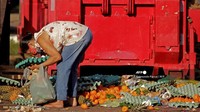 Menurut pemerintah Brasil, sekitar 19 juta orang di Brasil kelaparan selama setahun terakhir akibat pandemi.  