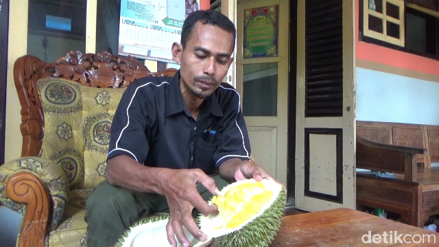Wajib Cicip! Durian Gencono, Primadona dari Lereng Gunung Semeru yang Creamy Legit