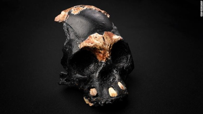 Anak manusia purba Homo naledi