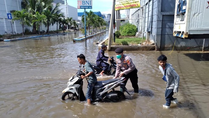 Banjir rob di Muara Baru, Jakut pada Selasa (9/11/2021).
