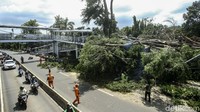 Dua pohon tumbang itu menimpa jembatan penyeberangan orang (JPO) dan beberapa tiang listrik.