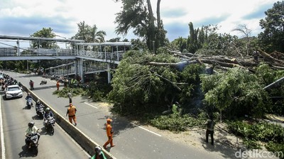Brak! Dua Pohon di Jaktim Tumbang dan Timpa JPO-Tiang Listrik