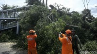 Lurah Bidara Cina Yudhie mengatakan, dua pohon itu tumbang sekitar pukul 09.15 WIB.