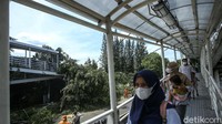 Pohon itu pun dipotong petugas dengan menggunakan gergaji mesin.