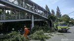 Brak! Dua Pohon di Jaktim Tumbang dan Timpa JPO-Tiang Listrik