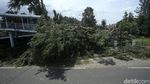Brak! Dua Pohon di Jaktim Tumbang dan Timpa JPO-Tiang Listrik