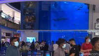 Foto: Setelah memasuki Dubai Mall, pengunjung terlebih dahunu bertemu dengan Dubai Mall Aquarium and Underwater Zoo. (Idham-detikcom)