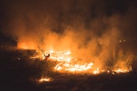 Environmental Photographer of the Year 202