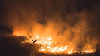 Young Environmental Photographer of the Year – Nikon Award diraih oleh Amaan Ali. Foto ini menampilkan seorang anak laki-laki berjuang melawan kebakaran permukaan di hutan dekat rumahnya di Yamuna Ghat, New Delhi, India. Kamera: Nikon D750 Foto: Environmental Photographer of the Year
