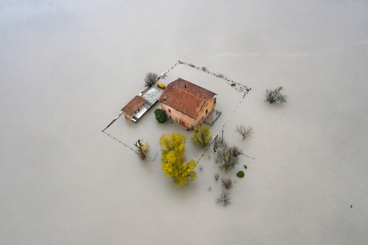 Environmental Photographer of the Year 202