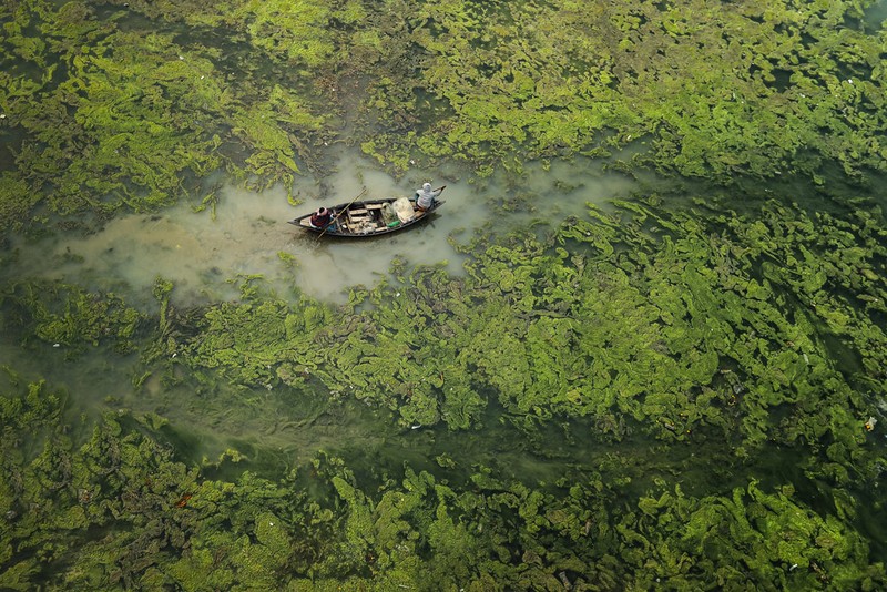 Environmental Photographer of the Year 202