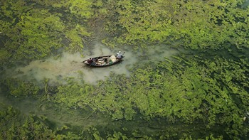 Juara kategori Water and Security diraih oleh Sandipani Chattopadhyay. Musim muson yang tidak teratur dan kekeringan menyebabkan mekarnya alga di sungai Damodar. Kamera: Canon EOS 5D Mark IV Foto: Environmental Photographer of the Year